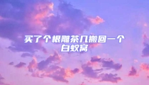 買了個根雕茶幾搬回一個白蟻窩