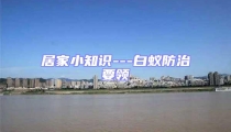 居家小知識---白蟻防治要領(lǐng)