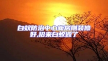 白蟻防治中心新房剛裝修好,招來白蟻毀了