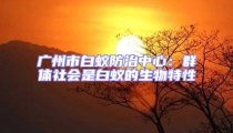 廣州市白蟻防治中心:群體社會(huì)是白蟻的生物特性