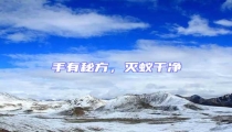 手有秘方,滅蟻干凈