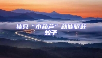 掛只“小葫蘆”就能驅趕蚊子