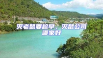 滅老鼠要趁早,滅鼠公司哪家好
