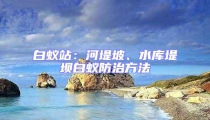 白蟻站:河堤坡、水庫堤壩白蟻防治方法