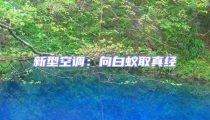 新型空調:向白蟻取真經