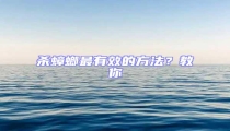 殺蟑螂最有效的方法?教你