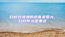 白蟻對堤壩的危害非常大,白蟻防治是重點