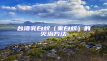 臺灣乳白蟻(家白蟻)的滅治方法