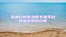深圳白蟻防治所專業滅白蟻和裝修防白蟻