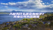入秋為什么還會有蚊子?滅蟲公司為您解答