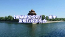 【深圳殺蟲公司】:家中發現白蟻怎么辦