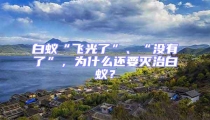白蟻“飛光了”、“沒有了”,為什么還要滅治白蟻?