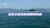 怎樣才能找到蟑螂的窩呢