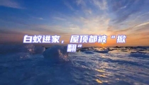 白蟻進家,屋頂都被“掀翻”