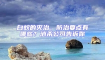 白蟻的滅治、防治要點有哪些?消殺公司告訴你