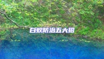 白蟻防治五大招