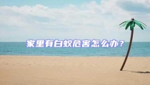 家里有白蟻危害怎么辦?