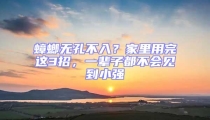蟑螂無孔不入?家里用完這3招,一輩子都不會見到小強