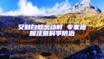又到白蟻出動時 專家提醒注意科學防治