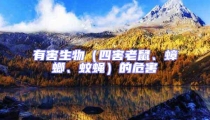 有害生物(四害老鼠、蟑螂、蚊蠅)的危害