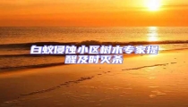 白蟻侵蝕小區(qū)樹木專家提醒及時(shí)滅殺