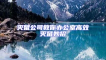滅鼠公司教你辦公室高效滅鼠妙招