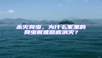 殺滅臭蟲,為什么家里的臭蟲很難徹底消滅?