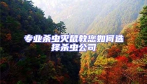 專業殺蟲滅鼠教您如何選擇殺蟲公司