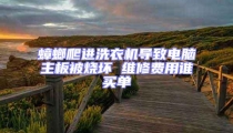 蟑螂爬進洗衣機導致電腦主板被燒壞 維修費用誰買單