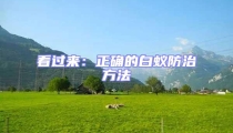 看過來:正確的白蟻防治方法