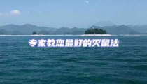 專家教您最好的滅鼠法
