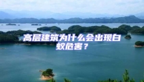高層建筑為什么會出現(xiàn)白蟻危害?