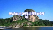園林樹木如何進行白蟻預防
