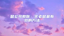 鼠公司教你:滅老鼠最有效的方法