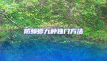 防蟑螂九種獨門方法