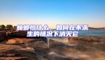 蟑螂怕什么,如何在不殺生的情況下消滅它