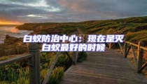 白蟻防治中心:現在是滅白蟻最好的時候