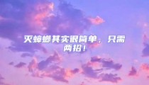 滅蟑螂其實(shí)很簡(jiǎn)單,只需兩招!