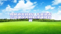 如何消滅螞蟻?專業消殺公司建議滅螞蟻須端掉蟻窩