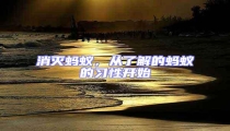 消滅螞蟻,從了解的螞蟻的習性開始