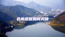 倉庫老鼠如何滅除