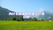 為什么新建的房屋會產(chǎn)生白蟻