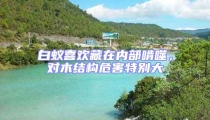 白蟻喜歡藏在內部啃噬,對木結構危害特別大