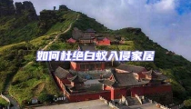 如何杜絕白蟻入侵家居