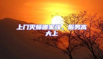 上門滅蟑哪家強,服務高大上
