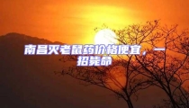南昌滅老鼠藥價格便宜,一招斃命