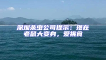 深圳殺蟲公司提示:現在老鼠大變身,愛挑食