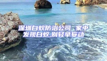 深圳白蟻防治公司 家中發(fā)現(xiàn)白蟻,別輕舉妄動