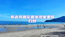 布吉可園花園發現家里有白蟻