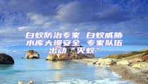 白蟻防治專家 白蟻威脅水庫大壩安全 專家隊伍出動“滅蟻”